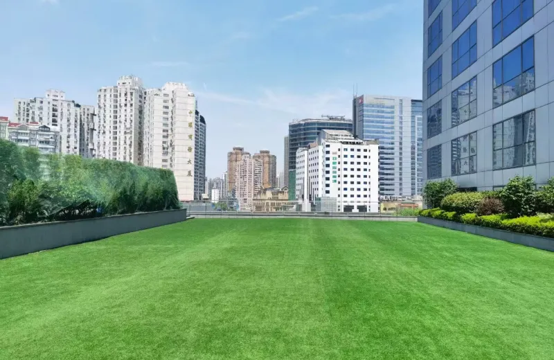 lawn